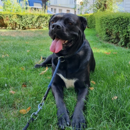 Nala 🦖 profile