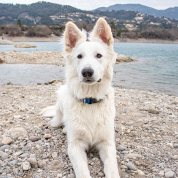 Spike profile