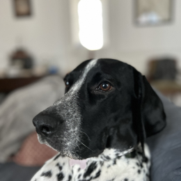 Ruby profile