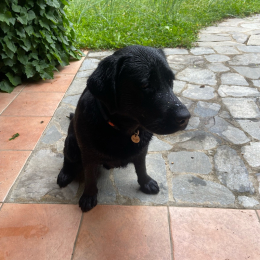 Argo profile