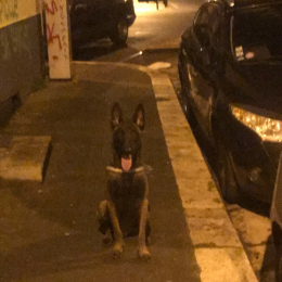 Vito profile