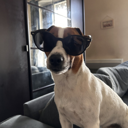 Oliver profile