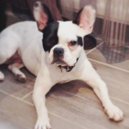 Jack profile