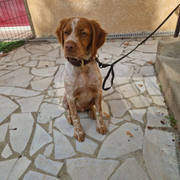 Hubert profile