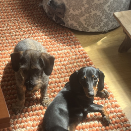 Harold et olga profile