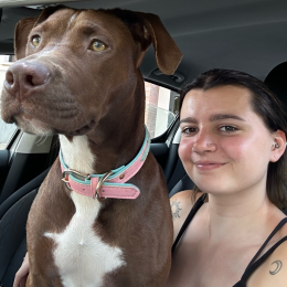 Otis profile