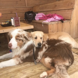 James et monoi profile