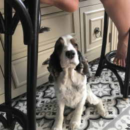 Heidie profile