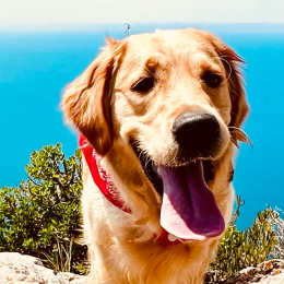 Kira profile