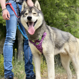 Darko profile