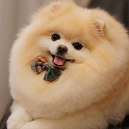 Kevin stiven profile