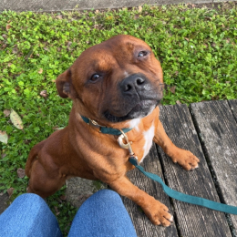 Esco profile