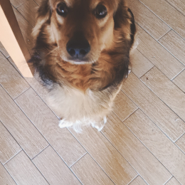 Mio profile