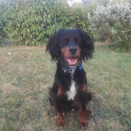 Oscar profile