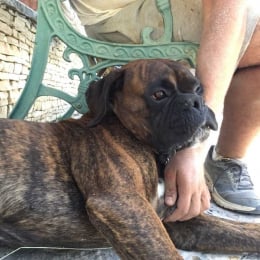 Geoffrey profile