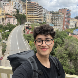 Mehdi profile