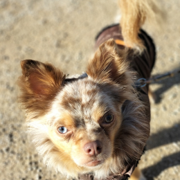 Titus profile