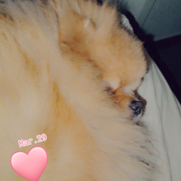 Uris profile