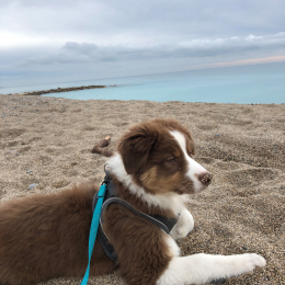 Marley profile