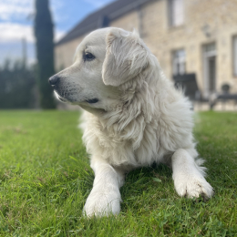 Faustine profile