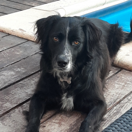Maxou profile