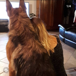 Laura profile