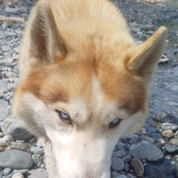 Amilou profile