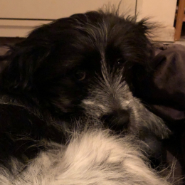Happy profile