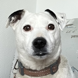 Olympe profile