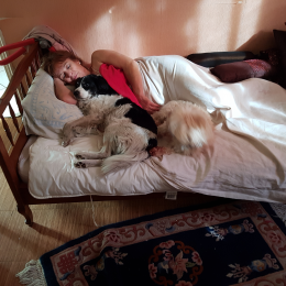 Charly et pirate profile