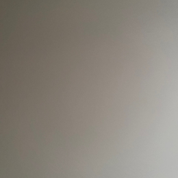 Robi profile