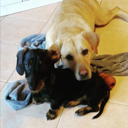 Maia e penny profile