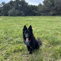 Etel profile