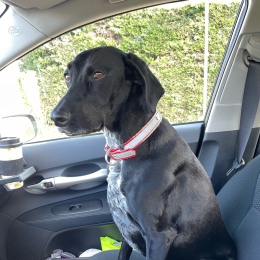 Molly profile