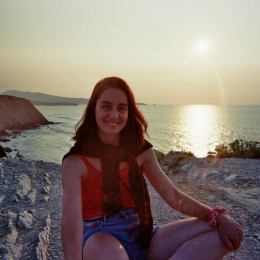Ines profile