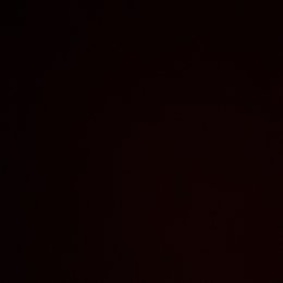 Evan profile