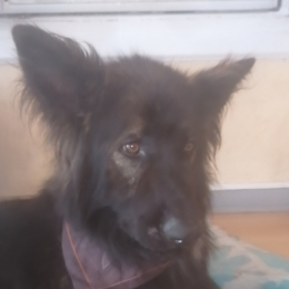 Nesta et ryta profile