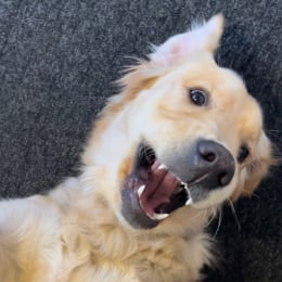Hope profile