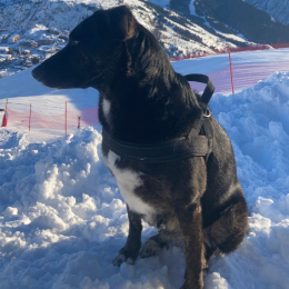 Freya profile