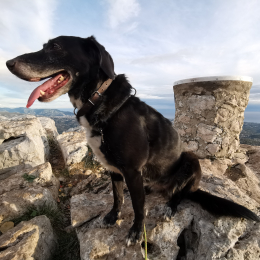 Laya et zola profile