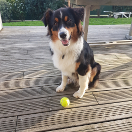 Mollie profile