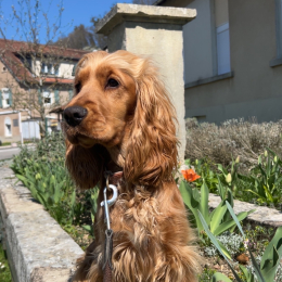 Valka profile