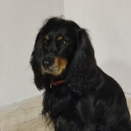 Billy profile
