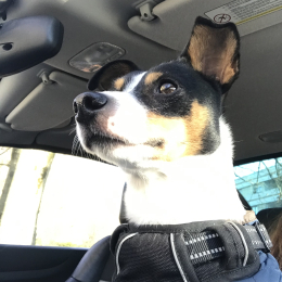 Helios profile