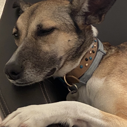 Lili profile