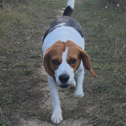 Ansofi55@gmail.com profile