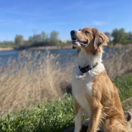 Laury profile