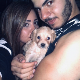Antoun profile