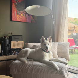 Aslan profile