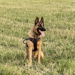 Togo profile